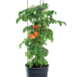 Kvetináč na pestovanie paradajok 12 L TOMATO GROWER antracit IPOM300-S433 | AGmajster.sk